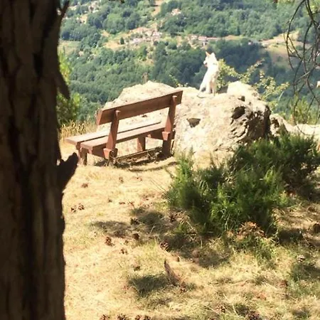 Gioia Casa vacanze *