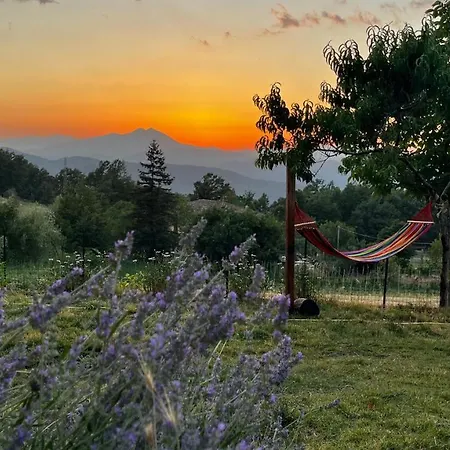 Gioia Hébergement de vacances